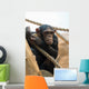 Monkey with Peach Wall Decal