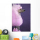 Pink Poodle Wall Decal