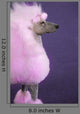 Pink Poodle Wall Decal