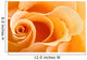 Yellow Rose Wall Decal