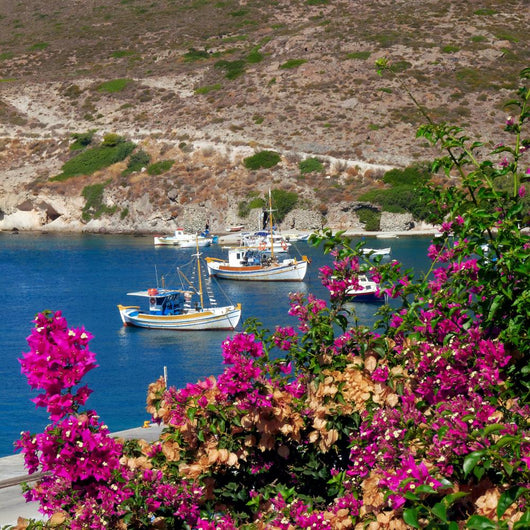 Fishing Boats and Bougainvillea Wall Decal