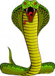 Cobra Color Illustration Wall Decal