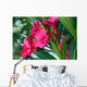 Oleander Wall Decal