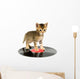 Kitten Standing Record Wall Decal