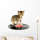 Kitten Standing Record Wall Decal