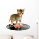 Kitten Standing Record Wall Decal