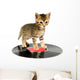Kitten Standing Record Wall Decal
