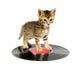 Kitten Standing Record Wall Decal