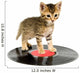 Kitten Standing Record Wall Decal