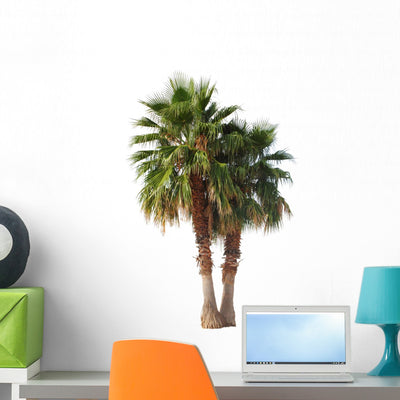 2 Palm Trees Exempted Wall Decal shown on a wall