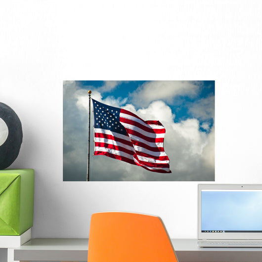 Flag Wind Wall Decal