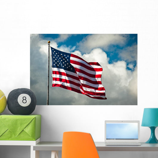 Flag Wind Wall Decal