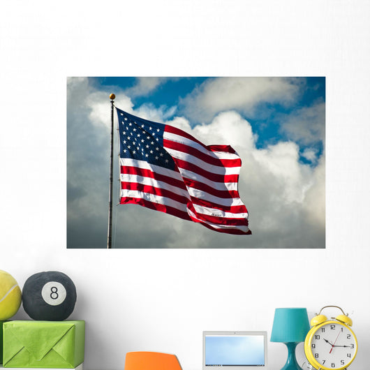 Flag Wind Wall Decal