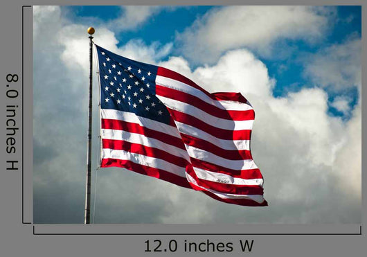 Flag Wind Wall Decal