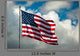 Flag Wind Wall Decal