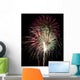 Green and Pink Fireworks Wall Decal