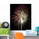 Green and Pink Fireworks Wall Decal