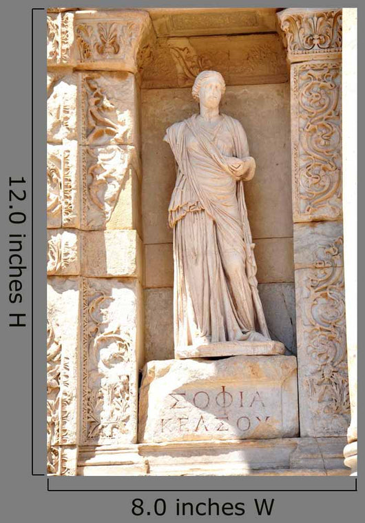 Library of Celsus Wall Decal