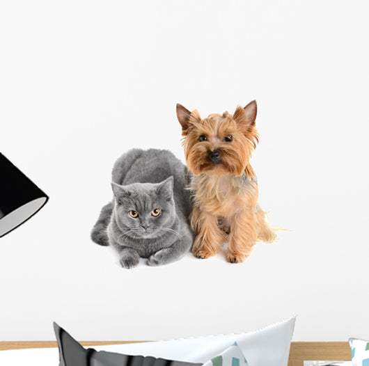 Gray Cat and Yorkie Dog Wall Decal
