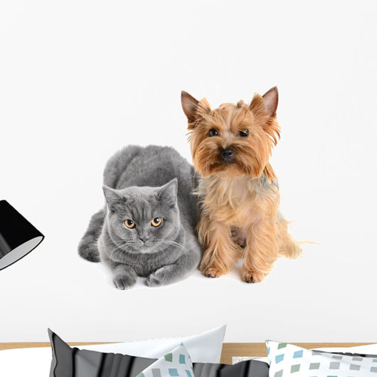 Gray Cat and Yorkie Dog Wall Decal