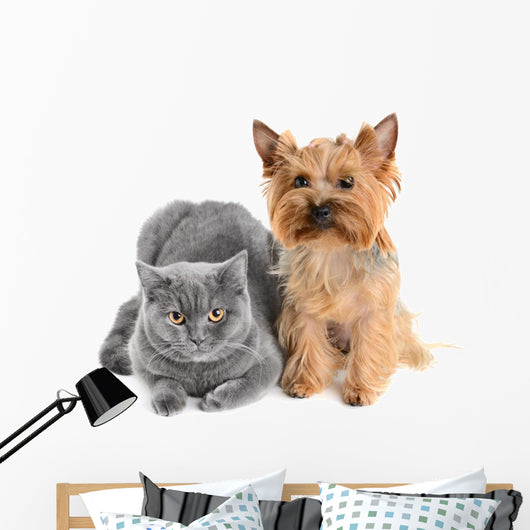 Gray Cat and Yorkie Dog Wall Decal