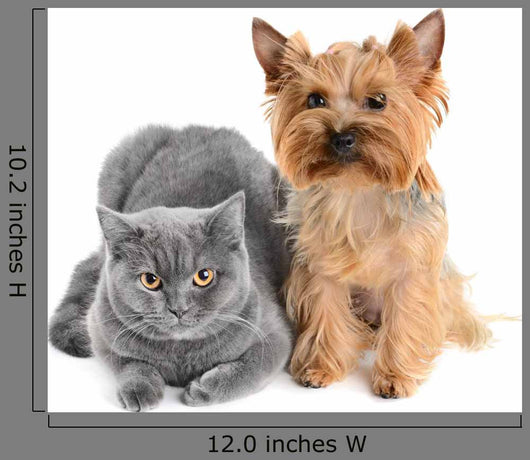 Gray Cat and Yorkie Dog Wall Decal