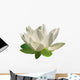 White Lotus Flower Wall Decal