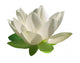 White Lotus Flower Wall Decal