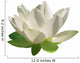 White Lotus Flower Wall Decal