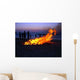 Beach Corfu 7 Wall Decal