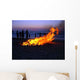 Beach Corfu 7 Wall Decal
