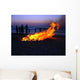 Beach Corfu 7 Wall Decal