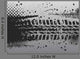 Tire Track Banner Wall Decal