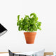 Basil Clay Pot Wall Decal