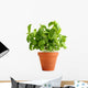 Basil Clay Pot Wall Decal