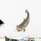 Cartoon Fish Catfish Wall Decal
