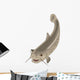 Cartoon Fish Catfish Wall Decal