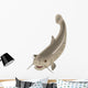 Cartoon Fish Catfish Wall Decal