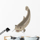 Cartoon Fish Catfish Wall Decal