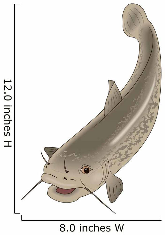 Cartoon Fish Catfish Wall Decal