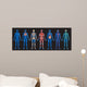 Blue Human Body Systems (Black Background) Wall Decal