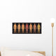 Human Body Systems Wall Decal