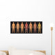 Human Body Systems Wall Decal