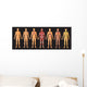 Human Body Systems Wall Decal