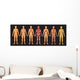 Human Body Systems Wall Decal