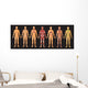 Human Body Systems Wall Decal