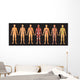 Human Body Systems Wall Decal
