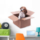 Beagle Puppy Box Wall Decal