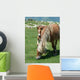 Horses in a Mountain Field Wall Decal