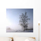 Single Tree Is Misty Wall Decal